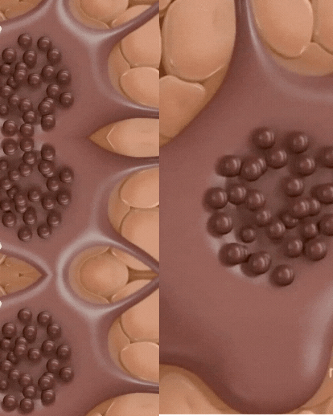 VOUEE Animation showing melani-rich skin and hyperpigmentation and dark spots